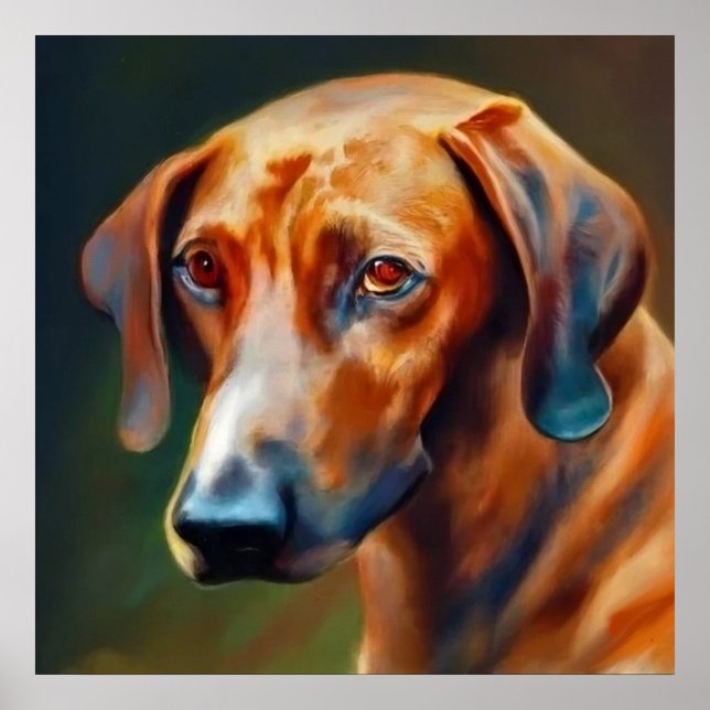 Affiche Hound de montagne bavarois - Portrait de chien (Devant)