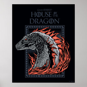 Affiche HOUSE OF THE DRAGON   Dragon Profile in Flames