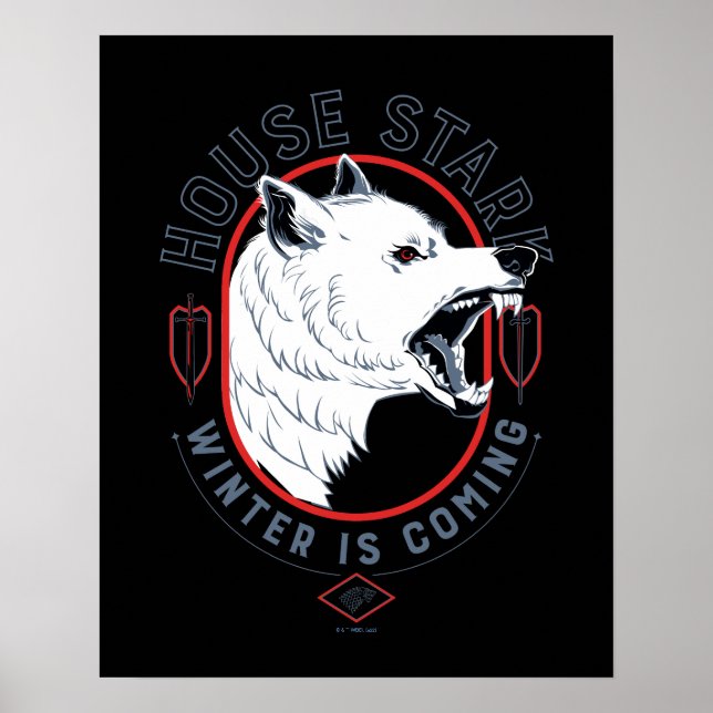 Affiche House Stark - Winter Is Coming (Devant)