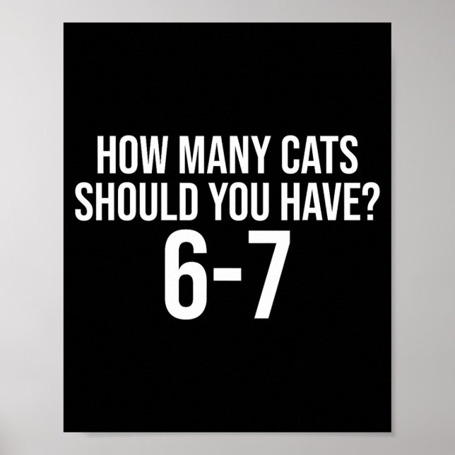 Affiche How Many Cats Should You Have 6-7 Funny 67 Meme Ca (Devant)