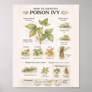 Affiche How to Identify Poison Ivy – Educational Botanical