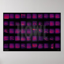 Howl : Le langage secret des loups