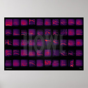 Affiche Howl : Le langage secret des loups