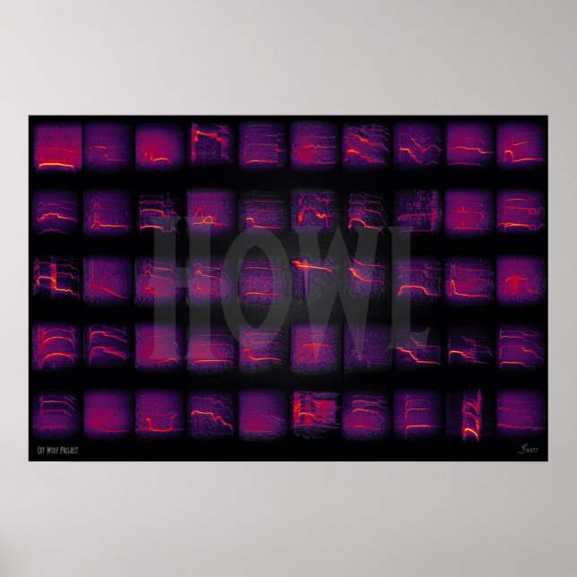 Affiche Howl : Le langage secret des loups (Devant)