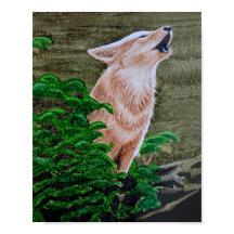Howling Coyote