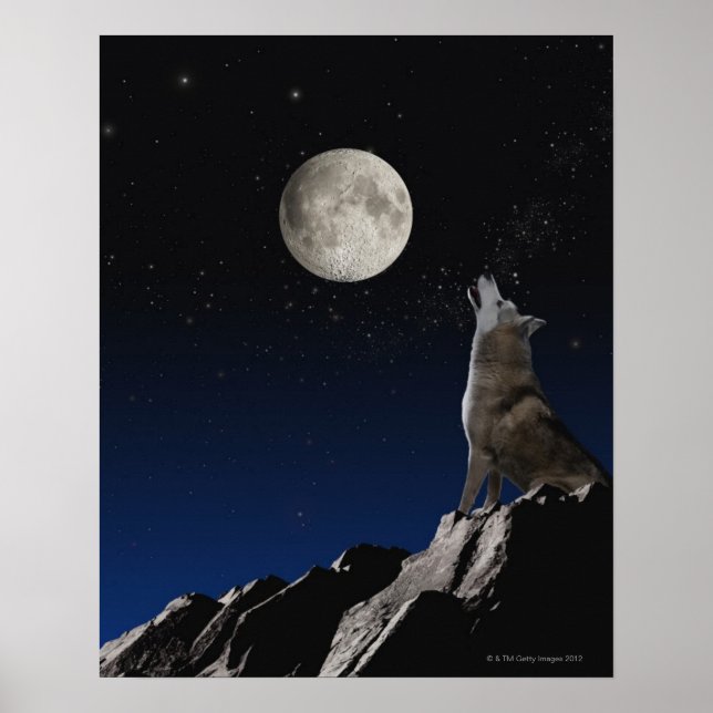 Affiche Howling Wolf (Devant)