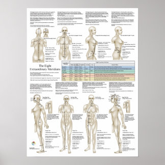 Affiche Huit Méridiens Extraordinaires Acupuncture Extra