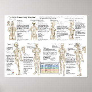Affiche Huit Méridiens Extraordinaires Acupuncture Extra