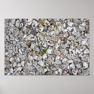 Affiche Huîtres, Apalachicola, Floride