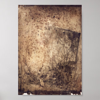 Affiche Hulroy Wilds