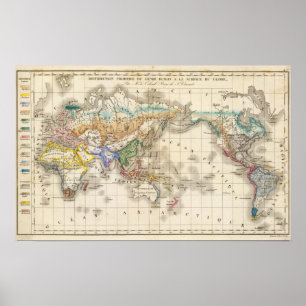 Affiche Humain primitif de du genre de distribution