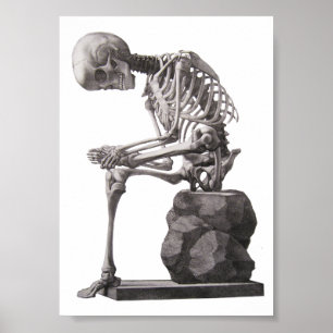 Affiche Human Skeleton Sitting Anatomy science Art