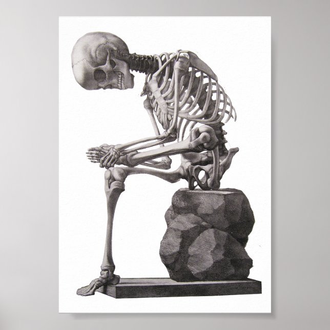 Affiche Human Skeleton Sitting Anatomy science Art (Devant)