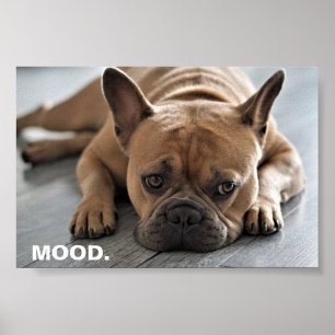 Affiche Humeur de bouledogue français