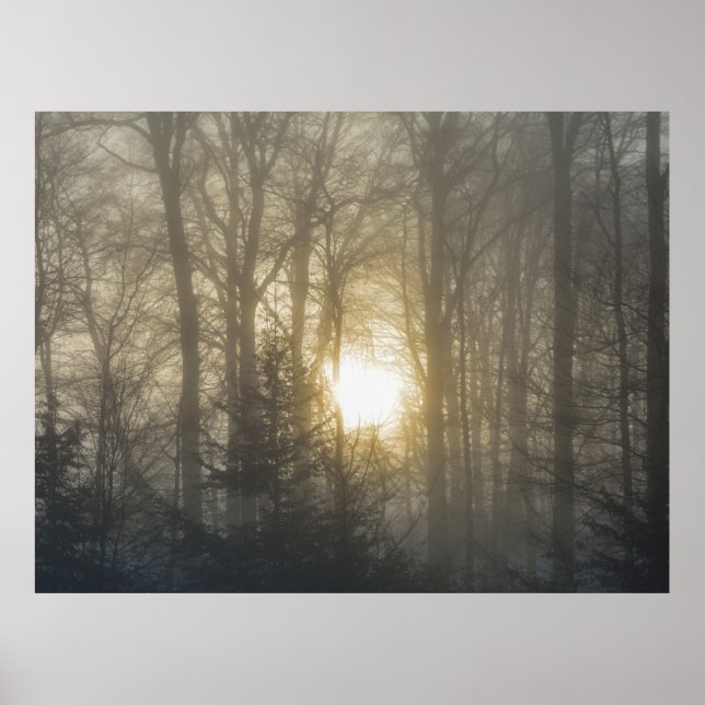 Affiche Humeur du matin (Devant)