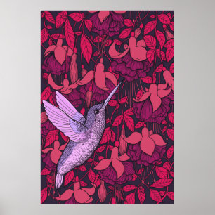 Affiche Hummingbird and fuchsia violet