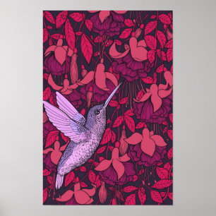 Affiche Hummingbird and fuchsia violet