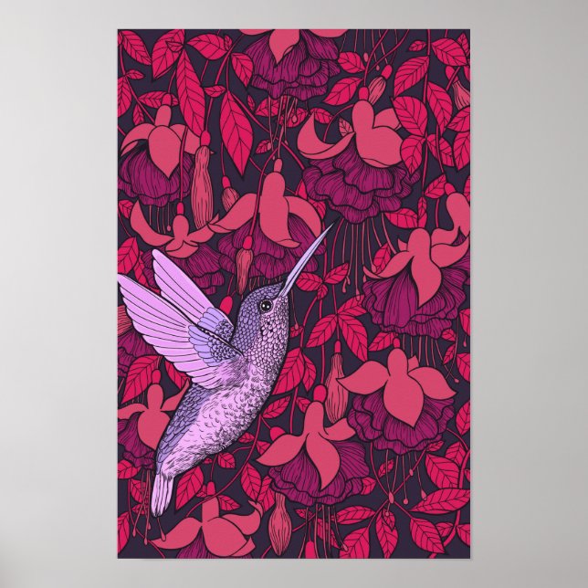 Affiche Hummingbird and fuchsia violet (Devant)