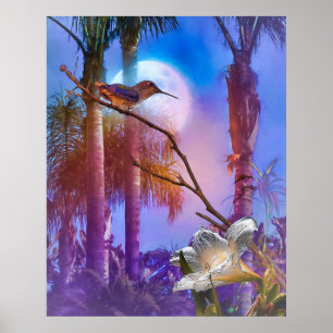 AFFICHE HUMMINGBIRD MOONLIGHT OASIS