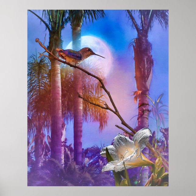 AFFICHE HUMMINGBIRD MOONLIGHT OASIS (Devant)