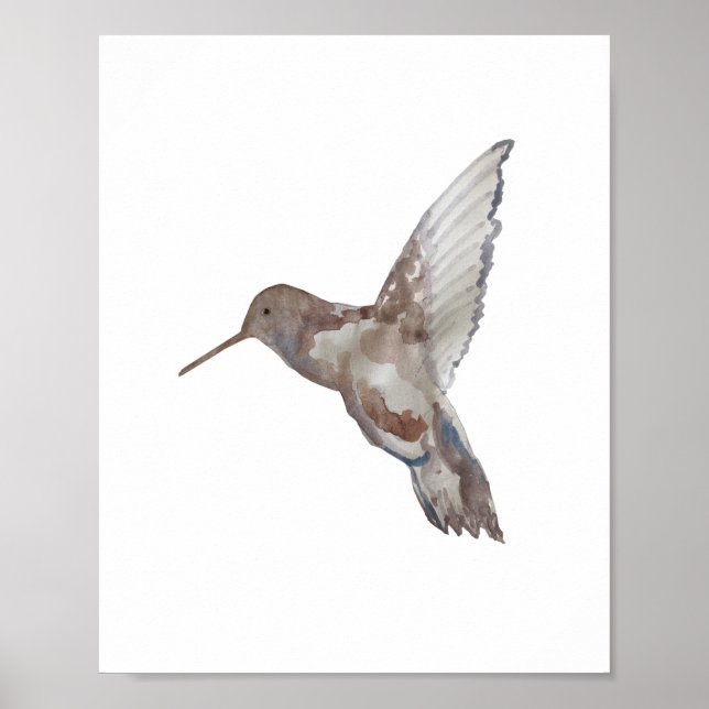 Affiche Hummingbird Nature Painting (Devant)
