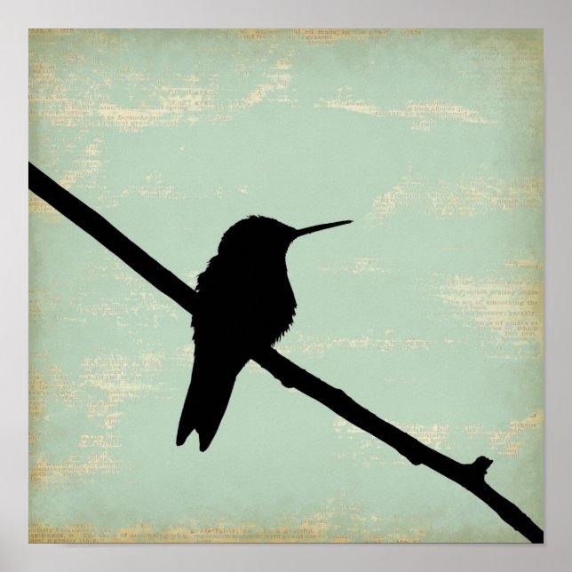 Affiche Hummingbird Silhouette on Blue Grunge Background (Devant)