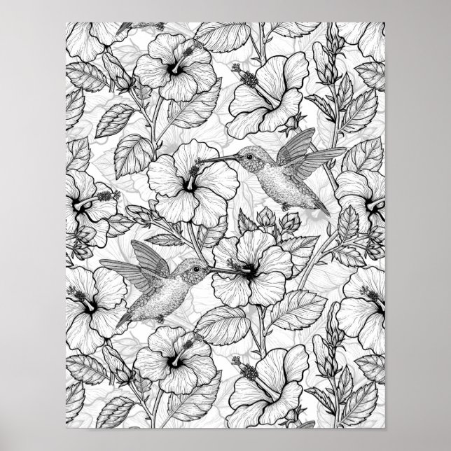 Affiche Hummingbirds and hibiscus flowers b&w (Devant)