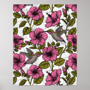 Affiche Hummingbirds and pink hibiscus flowers