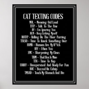 Affiche Humour des codes textos de chats