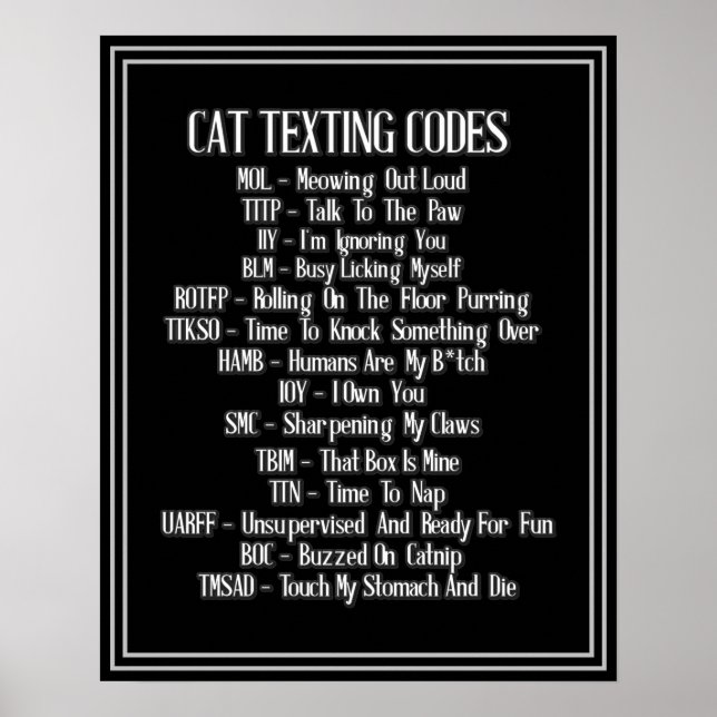 Affiche Humour des codes textos de chats (Devant)