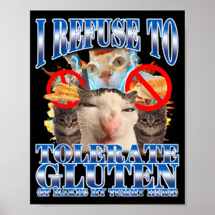 Affiche Humour drôle Je refuse de tolérer Mème de chat au
