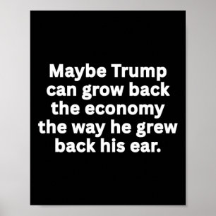 Affiche Humour politique satirique et sarcastique anti-Tru