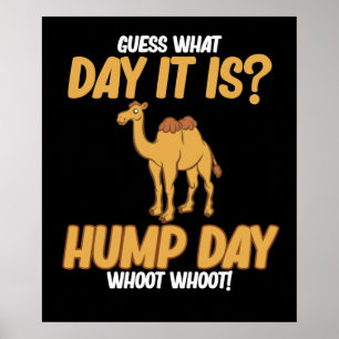 Affiche Hump Day Camel Animal Lover Camels Pet Owner Graph