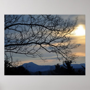 Affiche Humpe de chameau