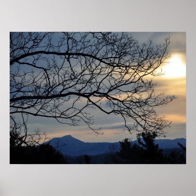 Affiche Humpe de chameau (Devant)