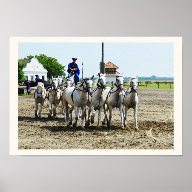 Affiche Hungarian horse riding (Devant)