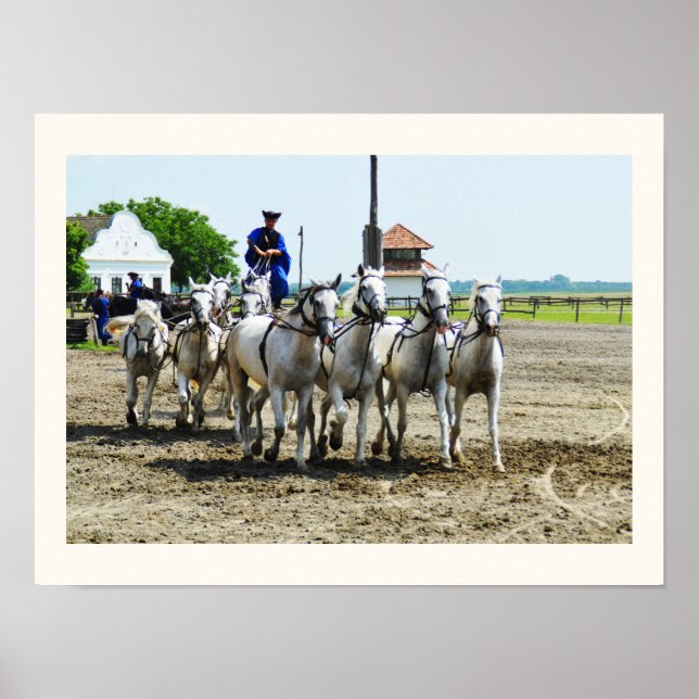 Affiche Hungarian horse riding (Devant)