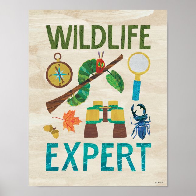 Affiche Hungry Caterpillar | Wildlife Expert (Devant)