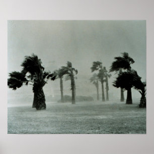 Affiche Hurricane