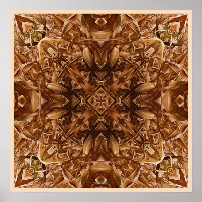 Affiche Husks de maïs sec Abstrait 16 (Devant)