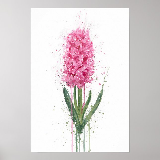 Affiche Hyacinth (Devant)