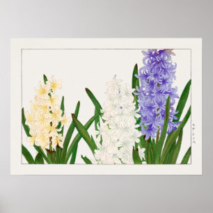 Affiche Hyacinthe, blanc violet et fleurs jaunes de Konan,