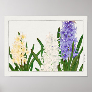 Affiche Hyacinthe par Tanigami Konan