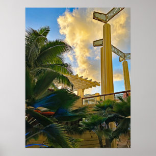 Affiche Hyatt Waikiki