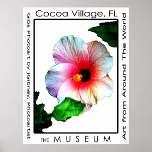 Affiche Hybiscus p3 de village de cacao Le MUSÉE