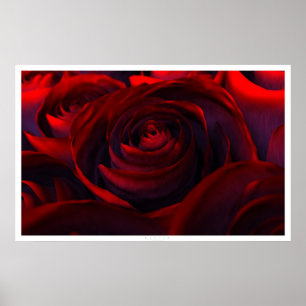 Affiche Hybride (large)