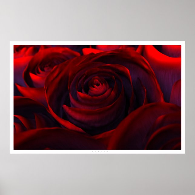 Affiche Hybride (large) (Devant)