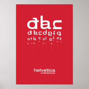 Affiche Hybridface 02