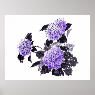 Affiche Hydrangea