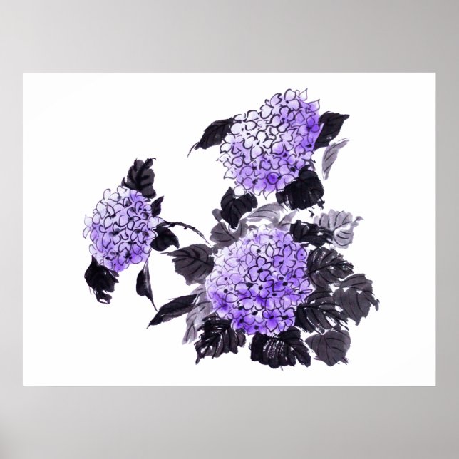 Affiche Hydrangea (Devant)